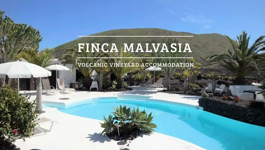 Finca Malvasia Vineyard Tias